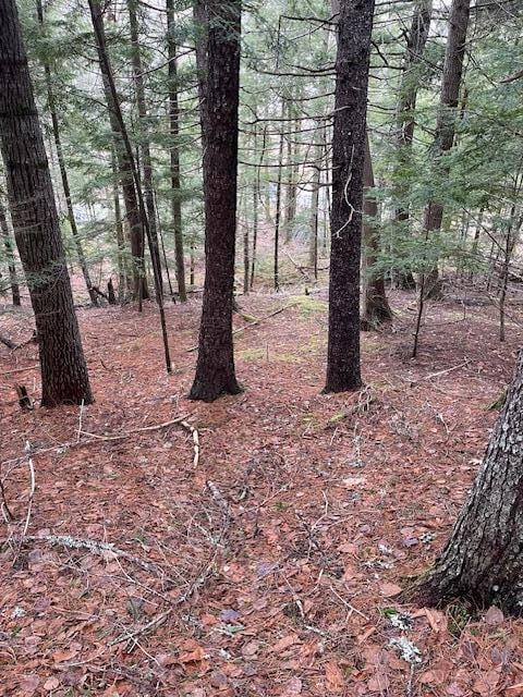 LOT6-1 Sand Shed Loop, Amherst, ME 04605 - view of landscape
