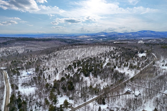 LOT30 Brighton Hill Rd, Minot, ME 04258