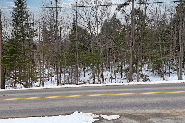 LOT30 Brighton Hill Rd, Minot, ME 04258