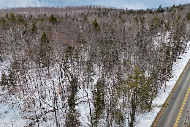 LOT30 Brighton Hill Rd, Minot, ME 04258
