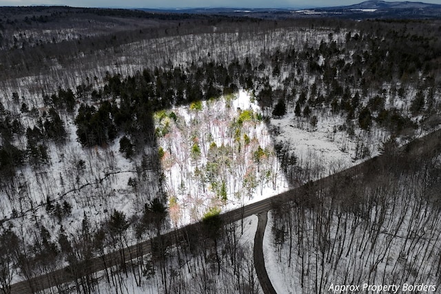 LOT30 Brighton Hill Rd, Minot, ME 04258