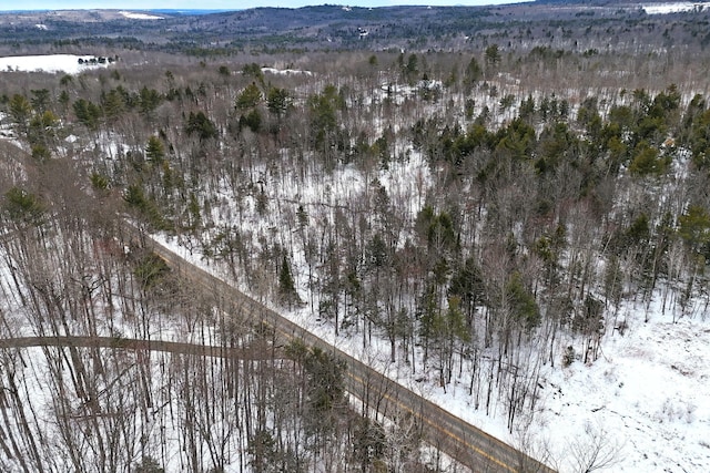 LOT30 Brighton Hill Rd, Minot, ME 04258