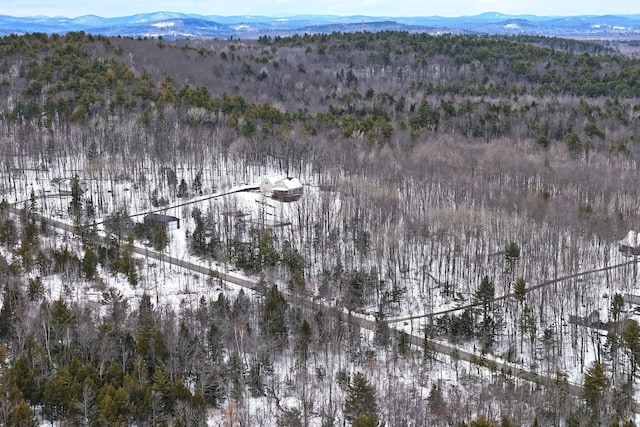 LOT30 Brighton Hill Rd, Minot, ME 04258