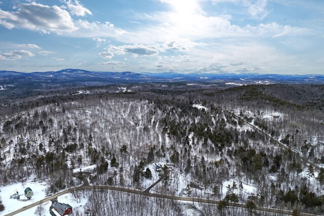 LOT30 Brighton Hill Rd, Minot, ME 04258