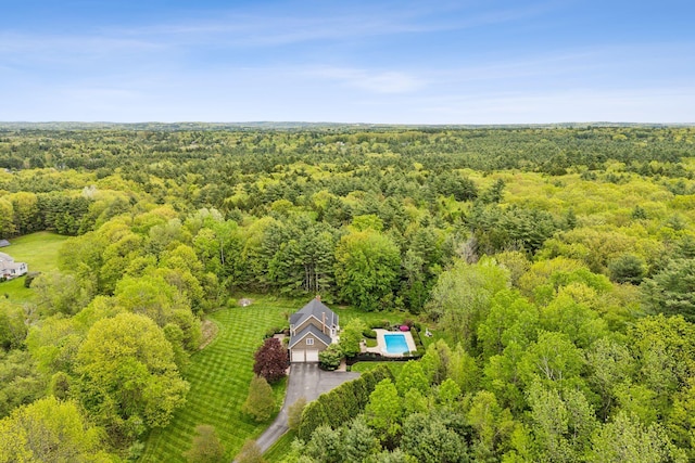 31 Green Trees Dr, Gorham, ME 04038 - aerial view of a forest
