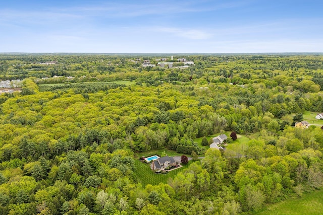 31 Green Trees Dr, Gorham, ME 04038 - aerial view of a heavily wooded area