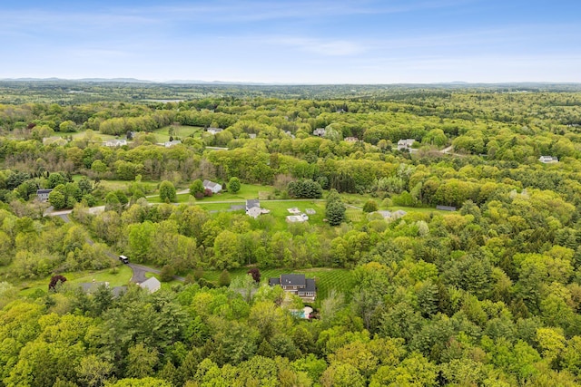 31 Green Trees Dr, Gorham, ME 04038 - drone / aerial view of a forest