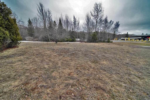 48 Customs Loop, Houlton, ME 04730 - view of yard