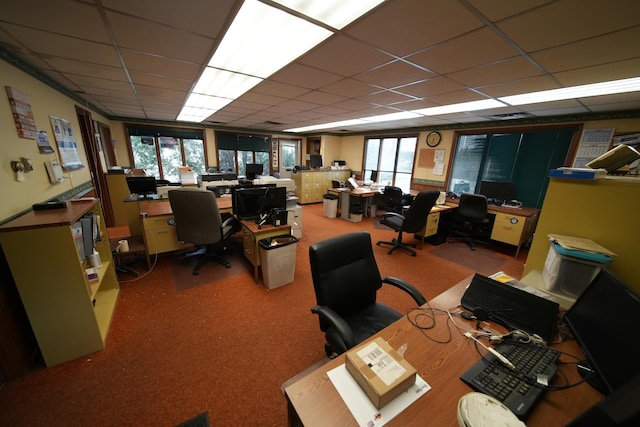 48 Customs Loop, Houlton, ME 04730 - carpeted office with a paneled ceiling and a healthy amount of sunlight