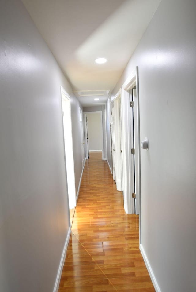 11 Blueberry Ave, Saco, ME 04072 - photo 16