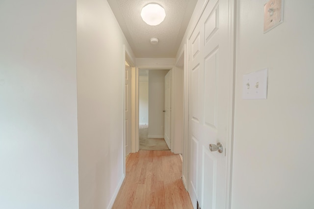 452 Moosehead Trl, Waldo, ME 04915 - corridor featuring a textured ceiling, light wood finished floors, and baseboards
