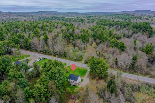 452 Moosehead Trl, Waldo, ME 04915 - aerial overview of property's location with a heavily wooded area and a mountain backdrop