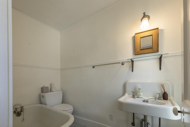 bathroom with tile walls, toilet, and wainscoting