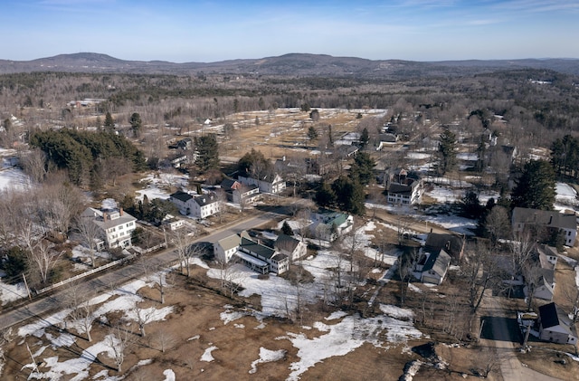 birds eye view of property with a mountain view
