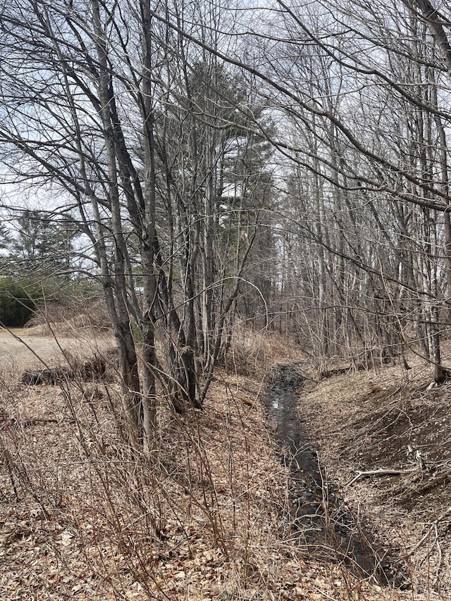 63 Dube Ln, Solon, ME 04979 - photo 9