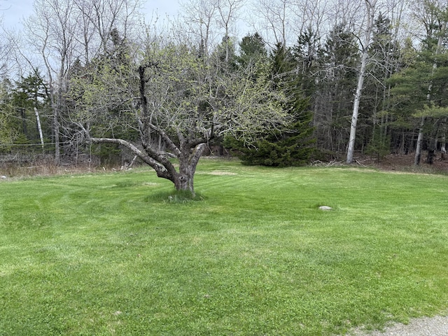 148 Pendleton Point Rd, Islesboro, ME 04848 - view of green lawn