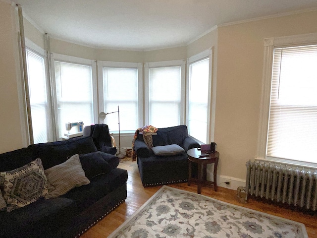 613 Washington Ave, Portland, ME 04103 - living area featuring crown molding, radiator heating unit, and wood finished floors