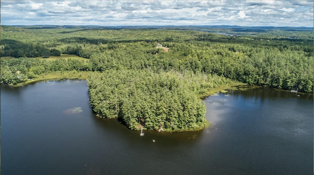 aerial view of a forest and a nearby body of water