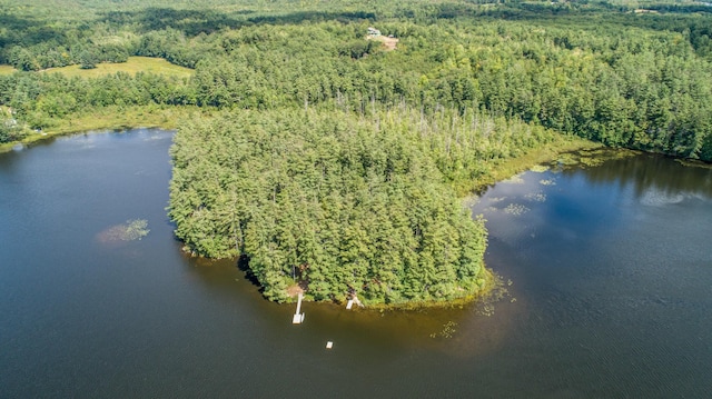 bird's eye view of a heavily wooded area and a large body of water