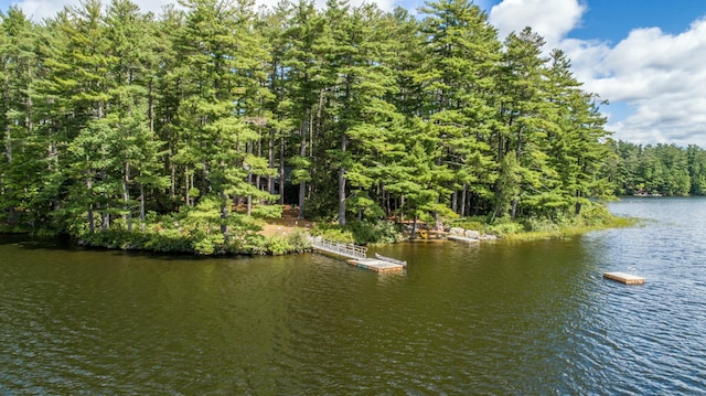 water view with a forest and a floating dock