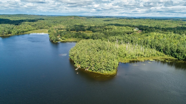 drone / aerial view of a heavily wooded area and a nearby body of water