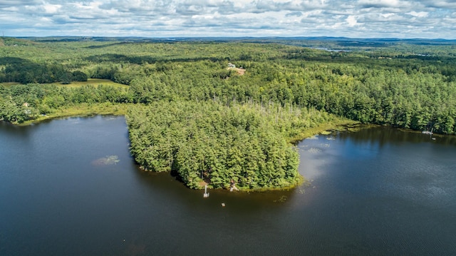 bird's eye view of a forest and a large body of water