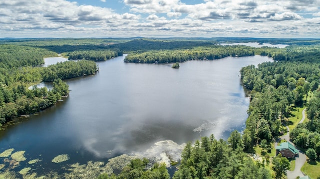 aerial view of a heavily wooded area and a nearby body of water