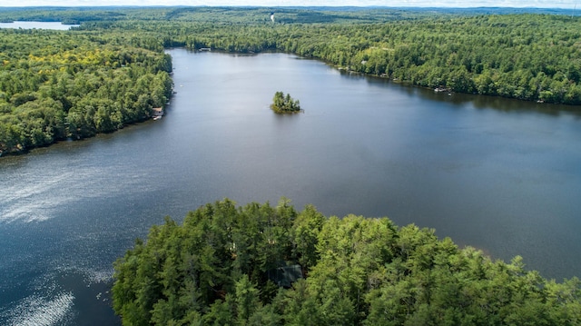 bird's eye view of a forest and a nearby body of water