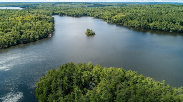 bird's eye view of a heavily wooded area and a large body of water
