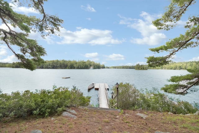 dock with a water view