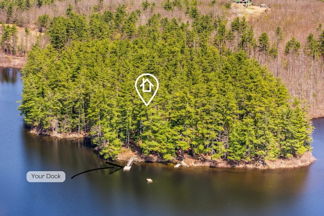 drone / aerial view of a nearby body of water