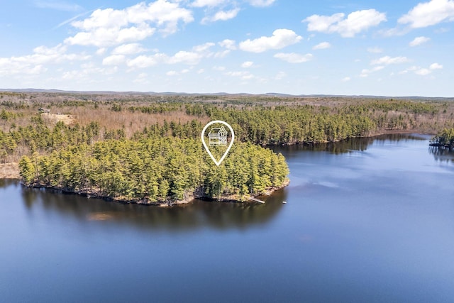 drone / aerial view of a forest and a nearby body of water