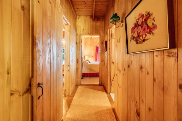 hallway featuring wood walls and wooden ceiling