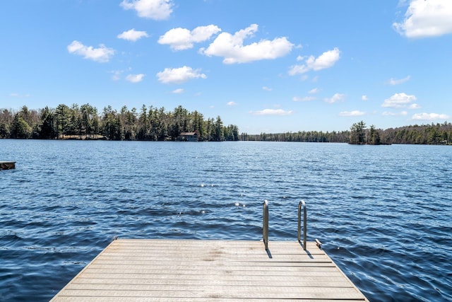 dock with a water view