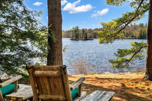 water view with a forest