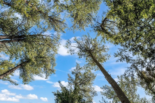 view of nature