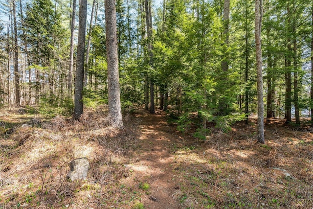 view of tree filled area