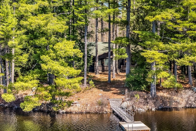 dock area featuring a water view