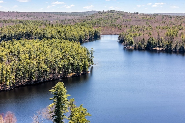 aerial view of a heavily wooded area and a nearby body of water