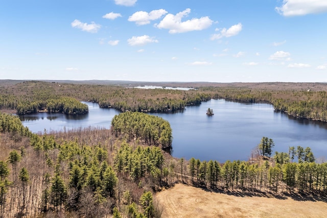 water view with a forest