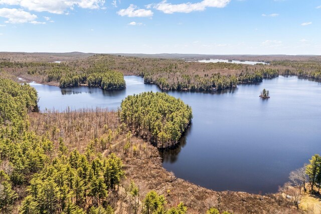 aerial view of a large body of water and a forest