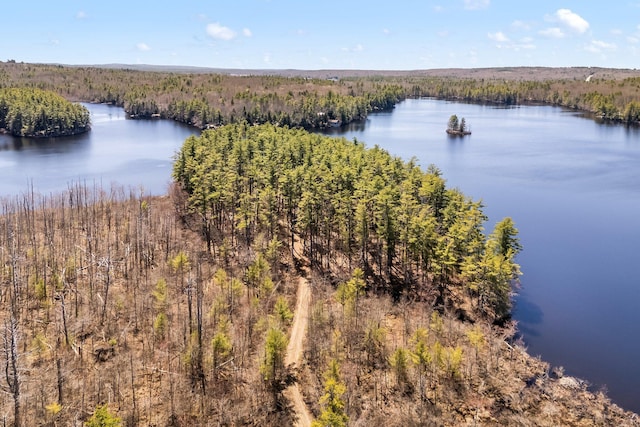 water view featuring a heavily wooded area