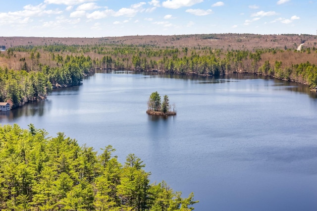 water view featuring a heavily wooded area