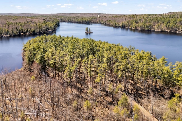 water view with a forest