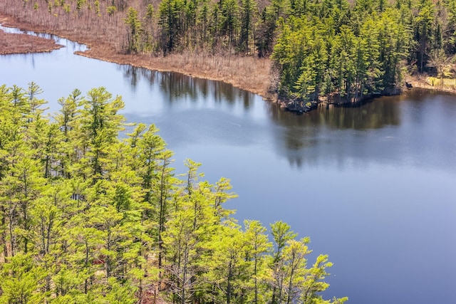 water view with a forest
