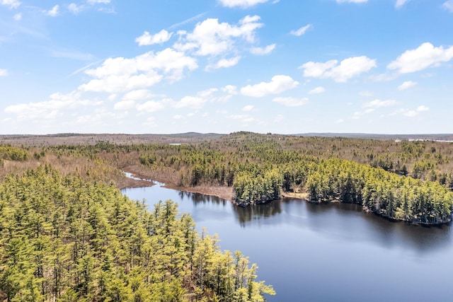 water view with a heavily wooded area