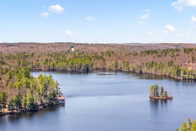 water view with a heavily wooded area