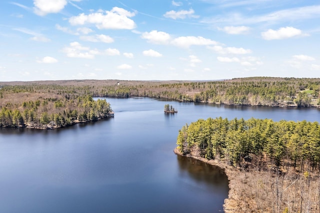 water view featuring a forest