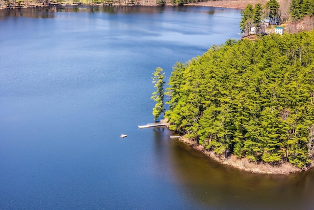 drone / aerial view of a large body of water