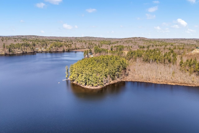 drone / aerial view of a heavily wooded area and a large body of water